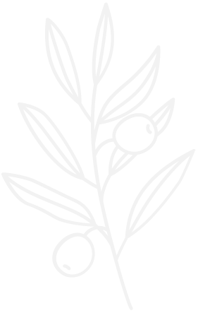 Olive branch